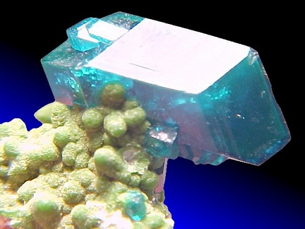 Dioptase with Duftite from Tsumeb, Namibia